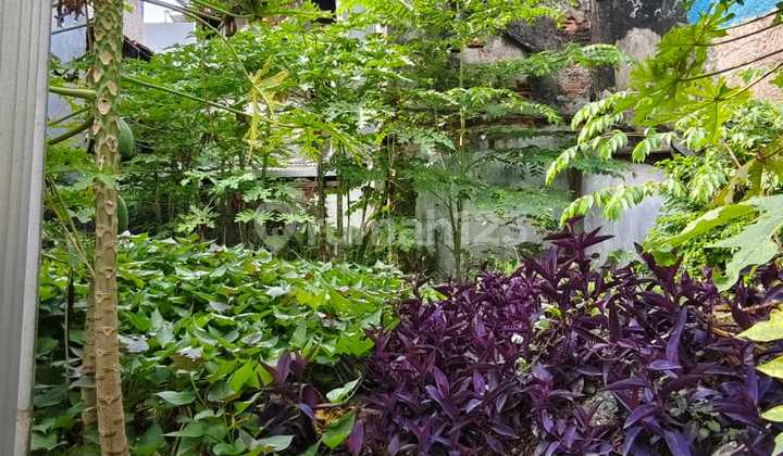 Di Jual Tanah Jembatan Lima Lt.77m Di Jual Tanah Jembatan Lima Lt.77m