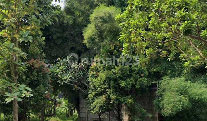 Kavling Kuldesak Lokasi Asri di Tengah Kota BSD