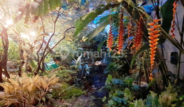 DISEWAKAN RUMAH TENANG DI TENGAH KOTA, KEMBANGAN. BAGUS 14
