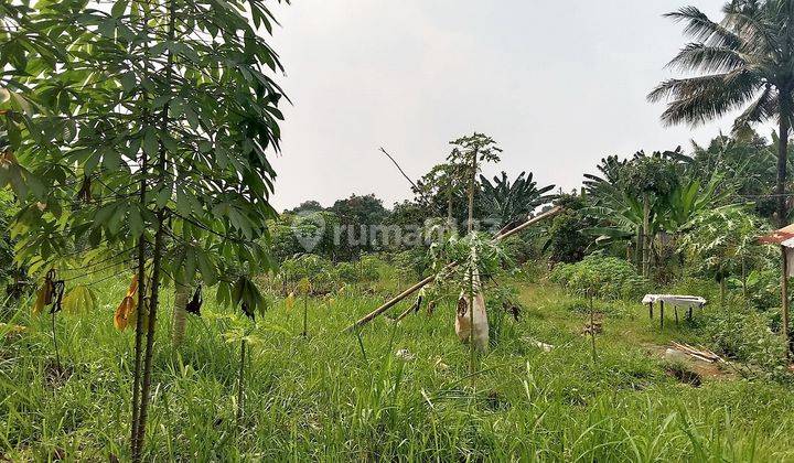 Kavling Lokasi di Daerah Gunung Sindur, Kode 0013 Tat 1