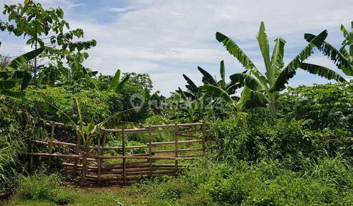 Kavling Lokasi di Daerah Rangkas Bitung, Kode 0040 Linsus 2