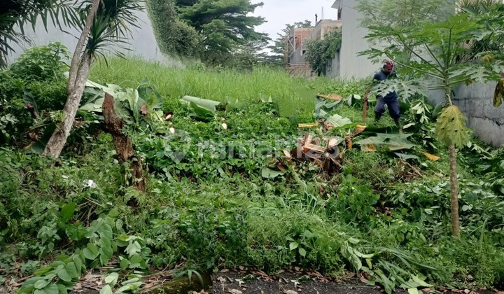 Kavling dijual lokasi di daerah Bukit Cinere Indah, 0048 ChrJon Kavling dijual lokasi di daerah Bukit Cinere Indah, 0048 ChrJon