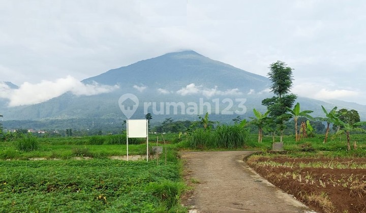 Plot for sale in the serene area of Kuningan, West Java, 0039 Gal