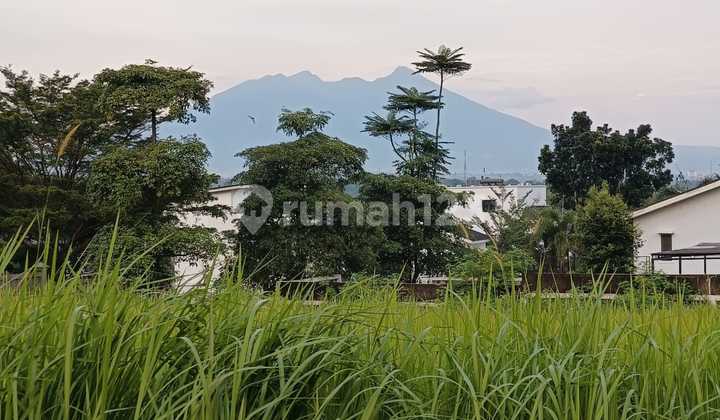 Land Plot In Hook View Gunung