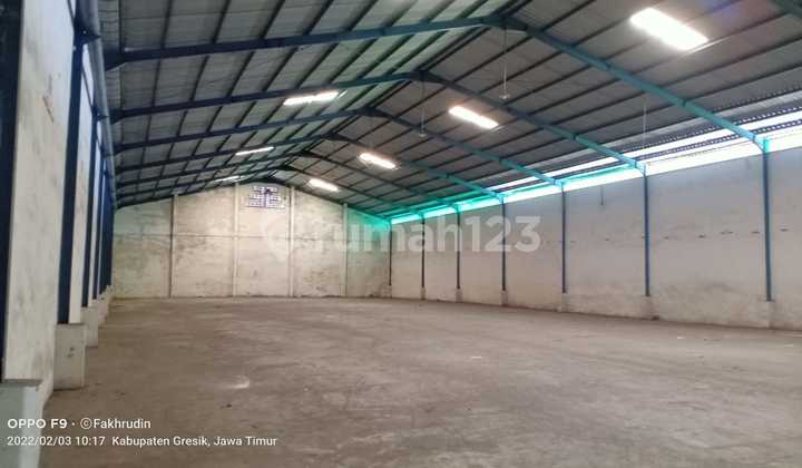 Warehouse Romokalisari 1925 m New Warehouse Romokalisari 1925 m New