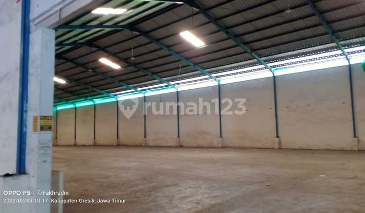 Warehouse Romokalisari 1925 m New Warehouse Romokalisari 1925 m New