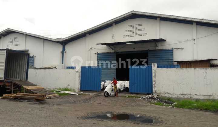 Warehouse connecting 3220 m New Warehouse connecting 3220 m New