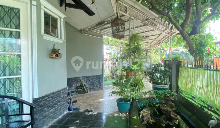 Jual Rumah Asri Di Griya Cipeucang Indah Cileungsi Jual Rumah Asri Di Griya Cipeucang Indah Cileungsi