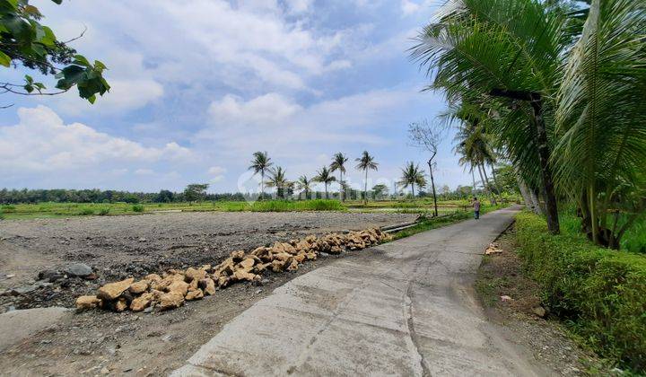 Tanah SHM Wates, 5 Menit Kampus Uad Wates 3