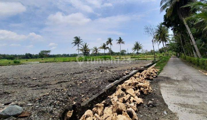 Tanah Wates Kota Timur Bandara, Dekat Kampus Uad, View Sawah 3