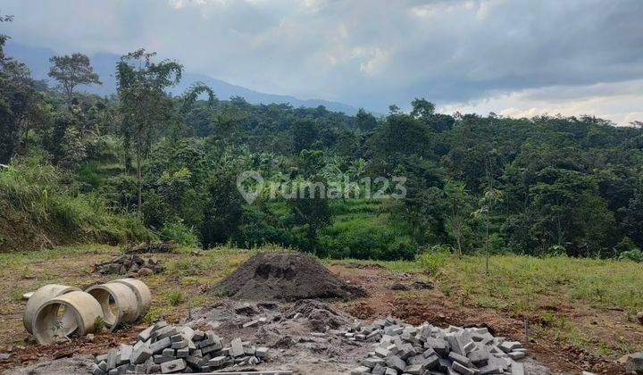 MILIKI VULLA DI KAWASAN WISATA DINGIN DI PRIGEN TRETES 6