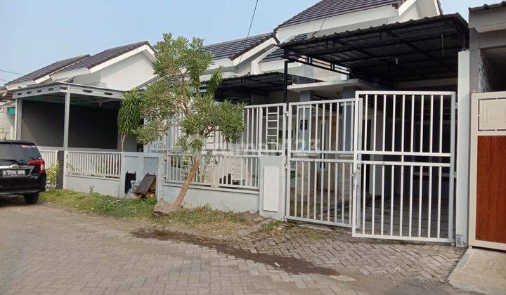 Dijual Rumah Murah 5 Menit Ke Pusat Kota Sidoarjo 2