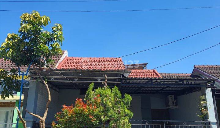 Dijual Rumah Di Sukodono Sidoarjo Rumah Siap Huni 2