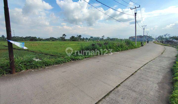 Tanah Luas di Jalan Peuris, Margaasih (Dekat Tol Soroja dan TKI) 1