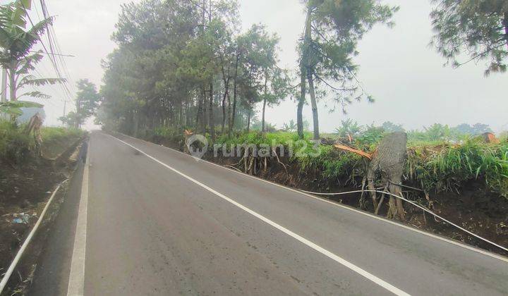 Tanah Luas Di Jalan Raya Padalarang - Lembang 2