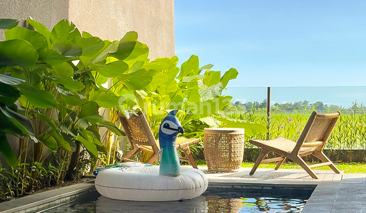 Modern Tropical 2 Bedrooms Villa With Ricefield View At Kedungu 2