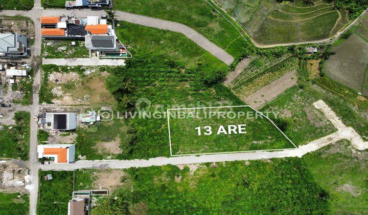 FREEHOLD LAND WITH RICEFIELD VIEW AT MUNGGU 1