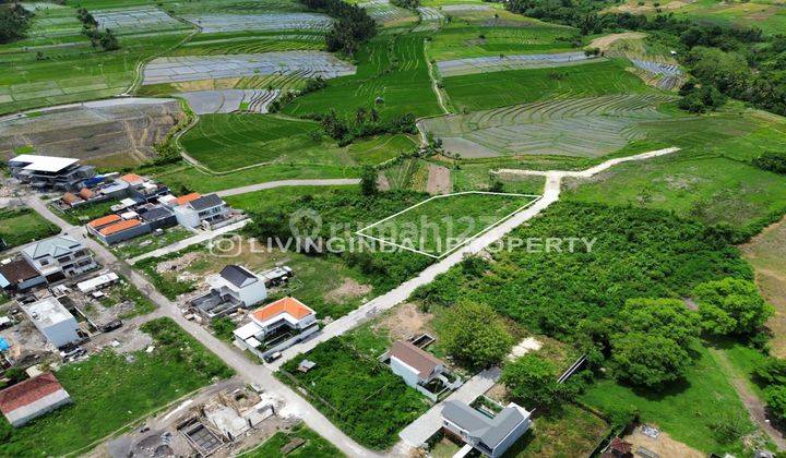 FREEHOLD LAND WITH RICEFIELD VIEW AT MUNGGU 2