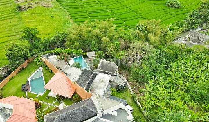 Ricefield View 4 Bedrooms Villa At Pererenan Ricefield View 4 Bedrooms Villa At Pererenan
