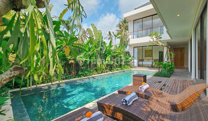 Brand New Modern 3 Bedrooms Villa With Ricefield View At Ubud 1