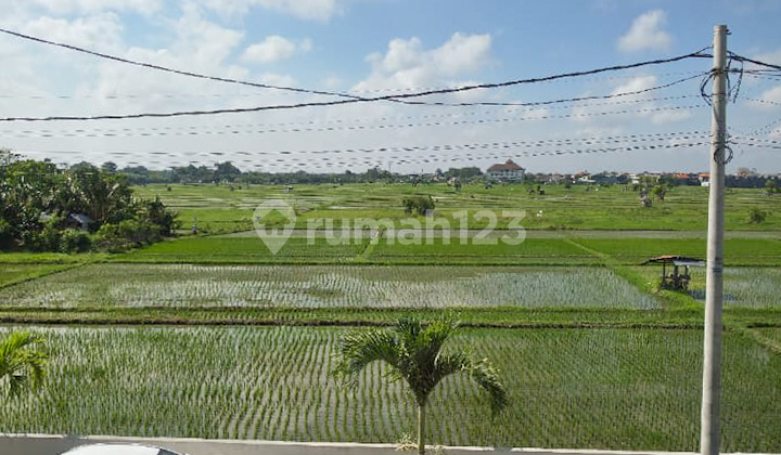 Minimalist 2 Bedrooms Villa With Ricefield View At Seminyak Bali