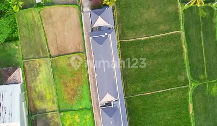 For Sale Modern Balinese Style Villa With Ricefield View At Ubud 2