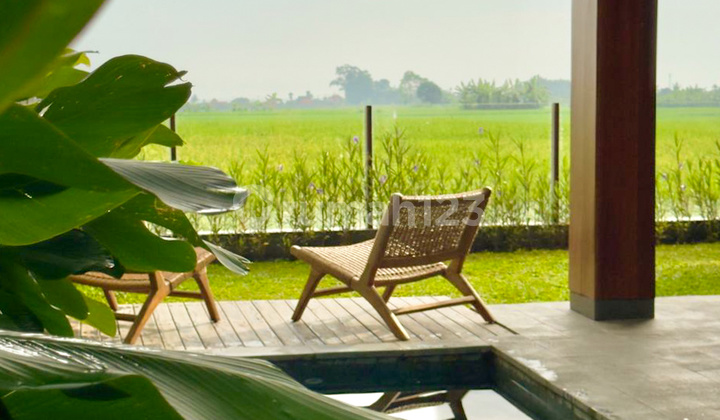 Modern Tropical 2 Bedrooms Villa With Ricefield View At Kedungu Modern Tropical 2 Bedrooms Villa With Ricefield View At Kedungu