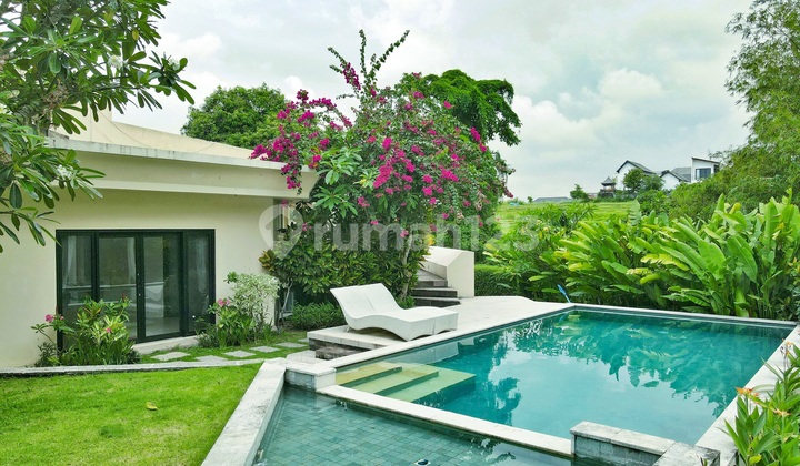 Ricefield View 4 Bedrooms Villa At Pererenan 2