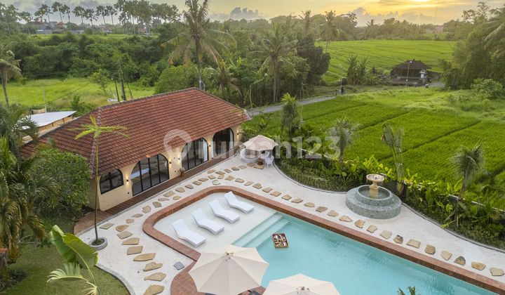 Classic Mediterranean 5 Bedrooms Villa At Kedungu Tabanan 1