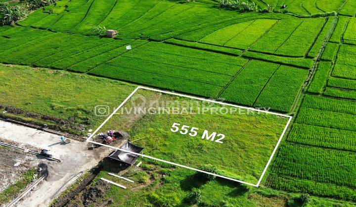 FREEHOLD LAND WITH RICEFIELD VIEW AT KEDUNGU 2