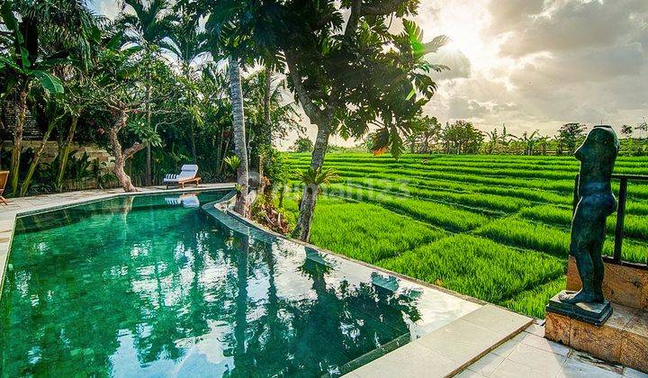 Spectacular 3 Bedrooms Villa With Ricefield View At Berawa 1