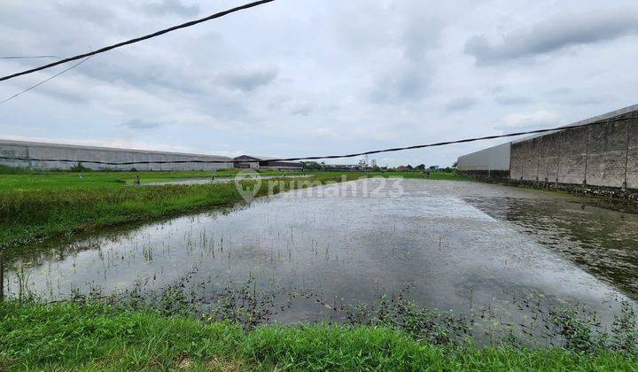 Tanah SHM Industri di Waringin Anom Jl. Pertamina Gresik 1