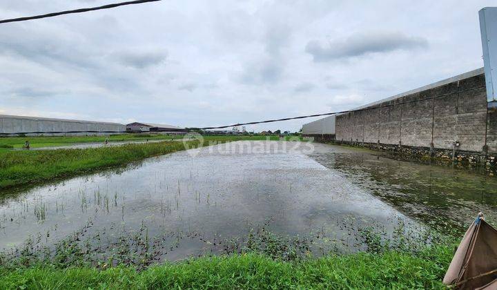 Tanah SHM Industri di Waringin Anom Jl. Pertamina Gresik 2