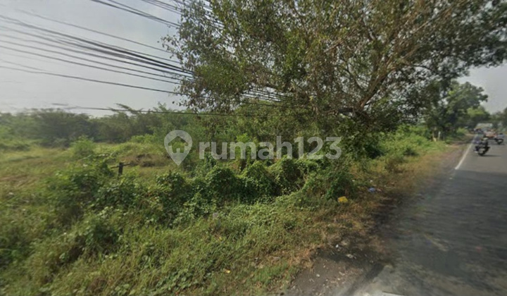 Land for Sale Zero Main Road, Morowudi, Gresik