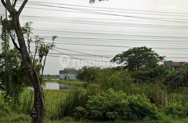 Land for Sale on Duduk Sampeyan Street, Gresik Land for Sale on Duduk Sampeyan Street, Gresik