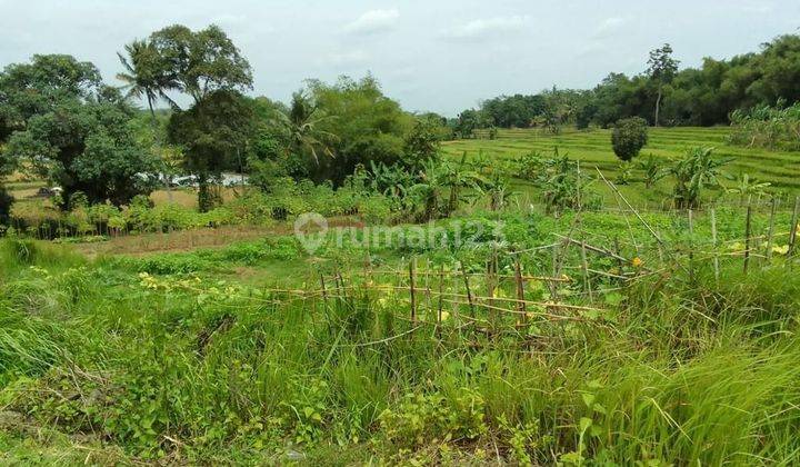 Tanah Luas dan Murah di Cariu - Jonggol - Bogor 2