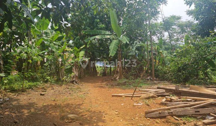 Tanah Untuk Perkebunan 1
