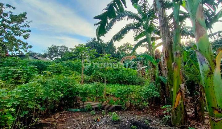 Tanah Kebun Kemang Sari Jatibening Bekasi  4