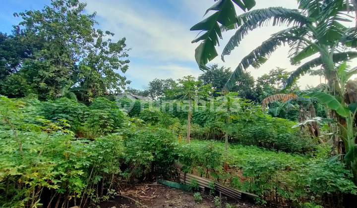 Tanah Kebun Kemang Sari Jatibening Bekasi  5