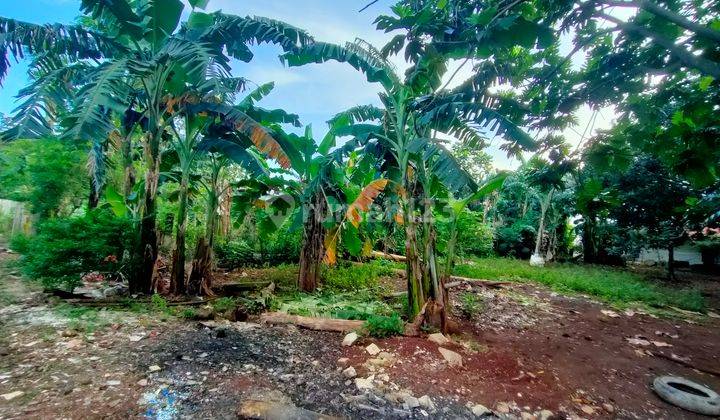 Tanah Kebun Kemang Sari Jatibening Bekasi  7