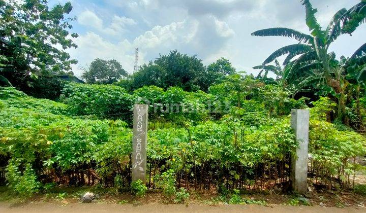 Tanah Kebun Kemang Sari Jatibening Bekasi  12