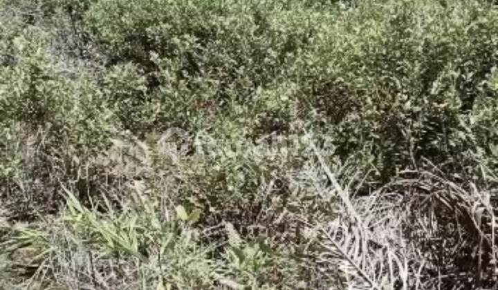 Kavling Permata Sentul