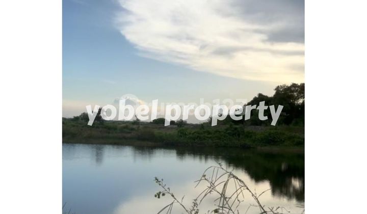 CHEAP LAND/PLOT KEDANYANG GRESIK