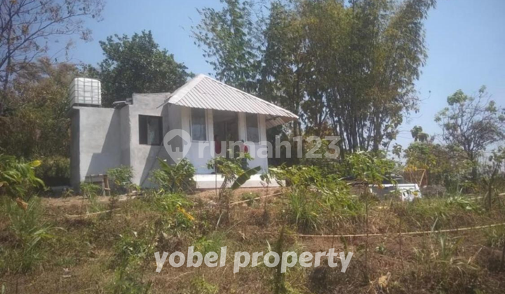 Tanah Luas Strategis Dekat Taman Safari Prigen