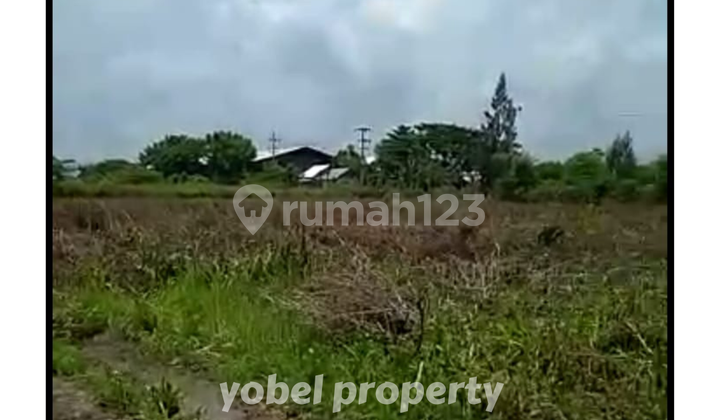 TANAH LUAS COCOK UNTUK INDUSTRI WIDANG TUBAN TANAH LUAS COCOK UNTUK INDUSTRI WIDANG TUBAN