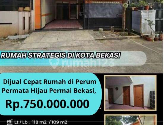 Dijual Cepat Rumah di Perum Permata Hijau Permai Bekasi Dijual Cepat Rumah di Perum Permata Hijau Permai Bekasi