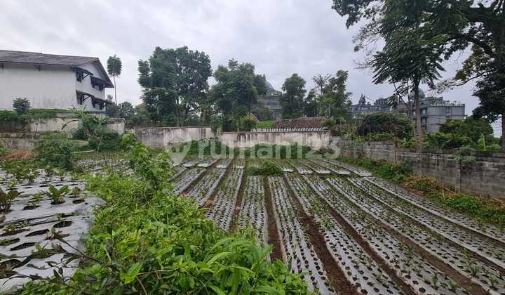 Tanah Strategis Di Jalan Raya Setia Budi Bandung Tanah Strategis Di Jalan Raya Setia Budi Bandung