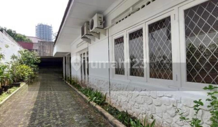 Rumah Asri Depan Taman Di Menteng, Jakarta Pusat 2