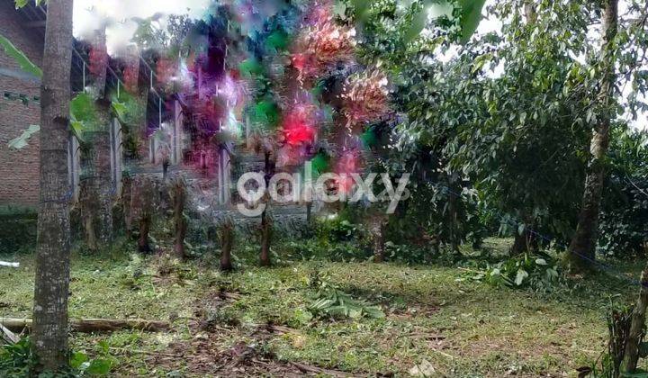 Dijual Tanah Kalisidi Gemuksari Ungaran Barat 1