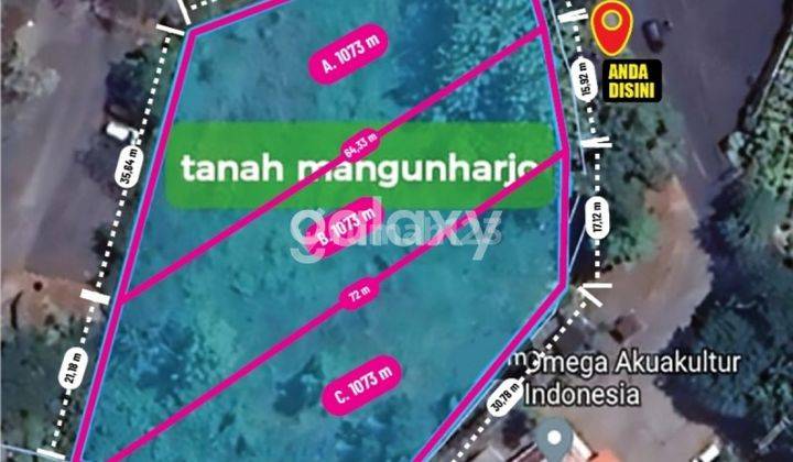 Tanah Strategis di Jl R Soenarko Mangunharjo Tembalang 2